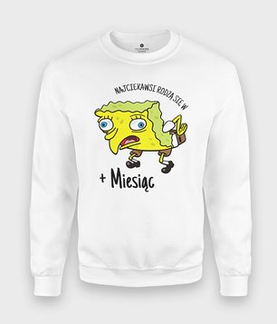 Bluza Spongebob + personalizacja