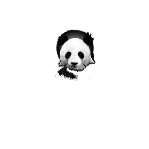 Koszulka Panda 2