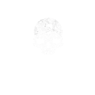 Koszulka Skull & Map
