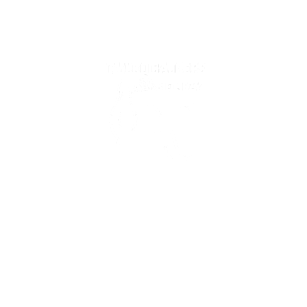 Koszulka Tylko bajceps się liczy