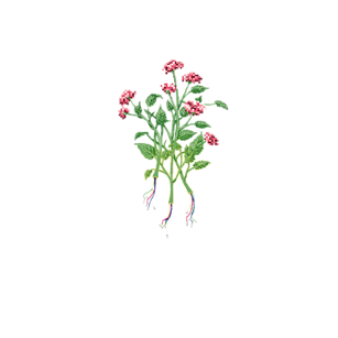 Koszulka Pixel Flowers Koszulka Pixel Flowers