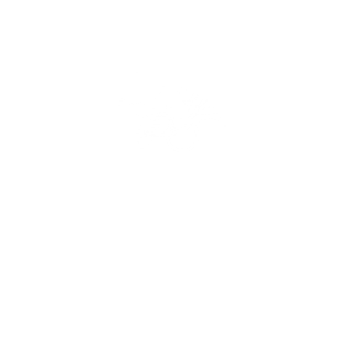 Vinyl Birds