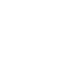 Koszulka Keep Calm and Use The Force