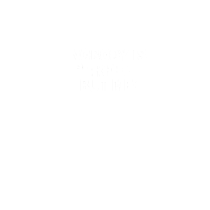 Koszulka Nobody is perfect but me 