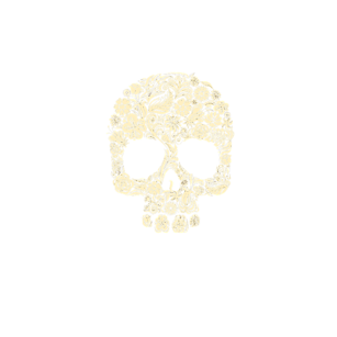 Flower Skull