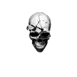 Cracked skull