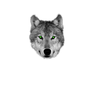 Hypnotic Wolf