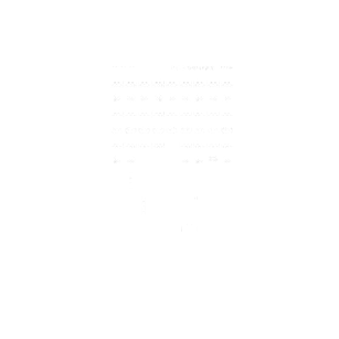 Invaders game