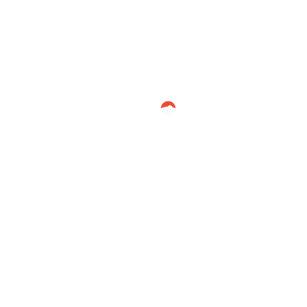 The Best Trainer