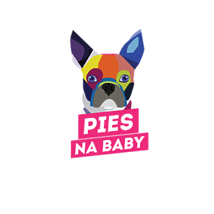 Koszulka Pies na baby