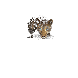 Gepard