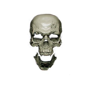 Skull 3D
