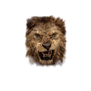 Lion roar