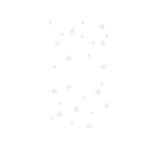 Koszulka Merry Christmas - The Best Project Koszulka Merry Christmas - The Best Project