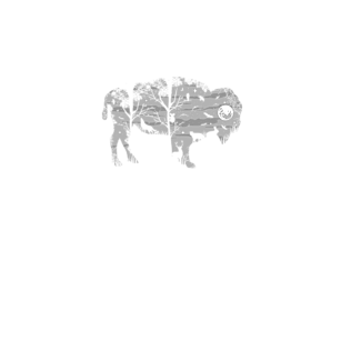Koszulka Wild Bison