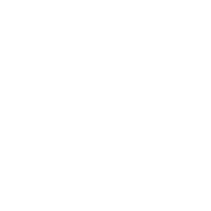 Assassin Champion