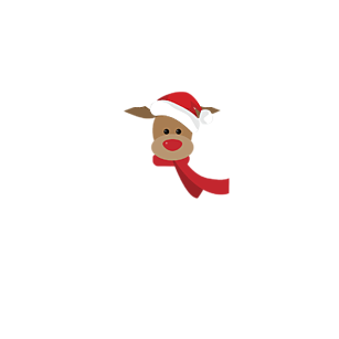 Koszulka Reindeer Koszulka Reindeer