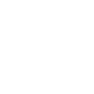 Mistrz Ninja
