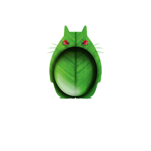 Leśny przyjaciel Totoro