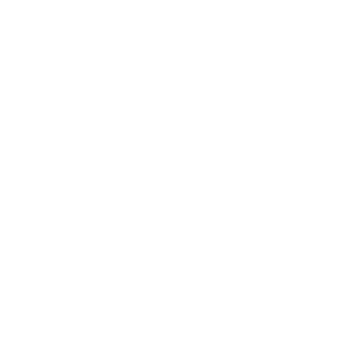 Never Regular 2