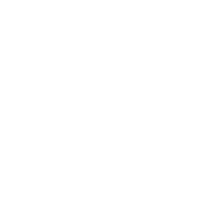 Beerus