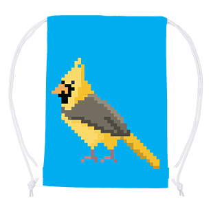 Worek Pixel Bird