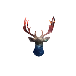 Galaxy deer