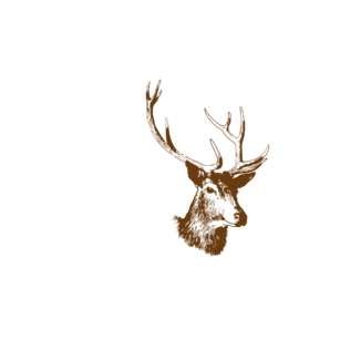 Kubek Deer