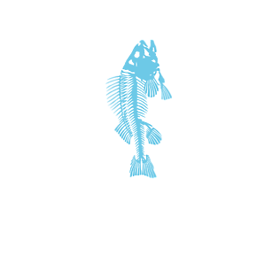 Plastikowa ryba