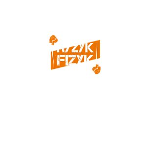 Koszulka Ryzyk Fizyk