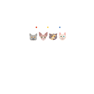 Koszulka CATS