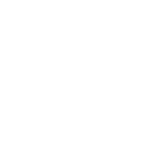Myszka Mickey