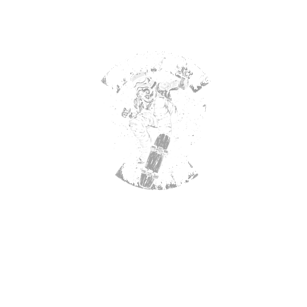 Gwiezdne Wojny - Skating Stormtrooper