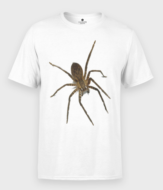Koszulka męska Spider 3D