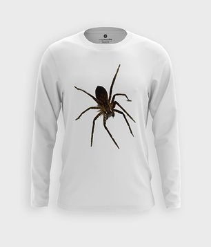Spider 3D