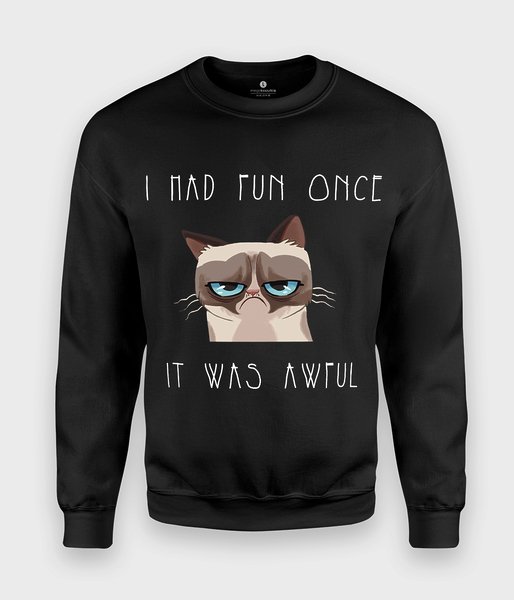 I Had Fun Once - bluza klasyczna