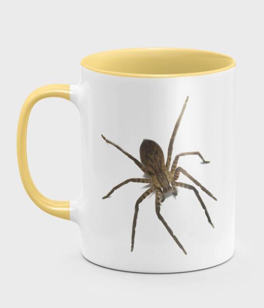 Kubek kolorowy Spider 3D