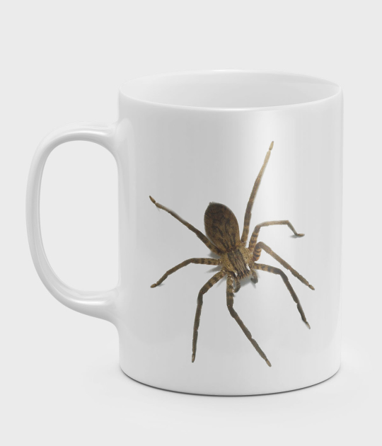 Kubek Spider 3D