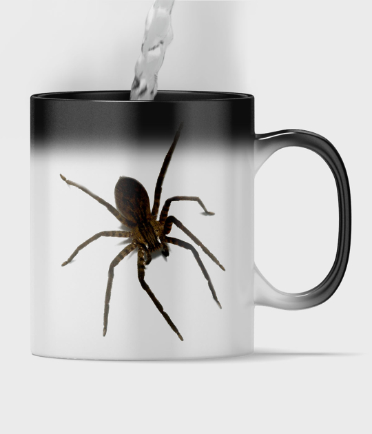 Kubek magiczny full print Spider 3D